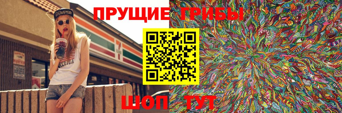 Псилоцибиновые грибы GOLDEN TEACHER Нижнеудинск