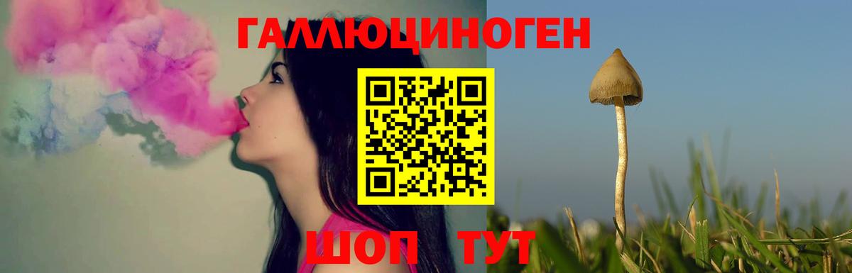 Нижнеудинск  Галлюциногенные грибы мицелий  Вход с VPN 